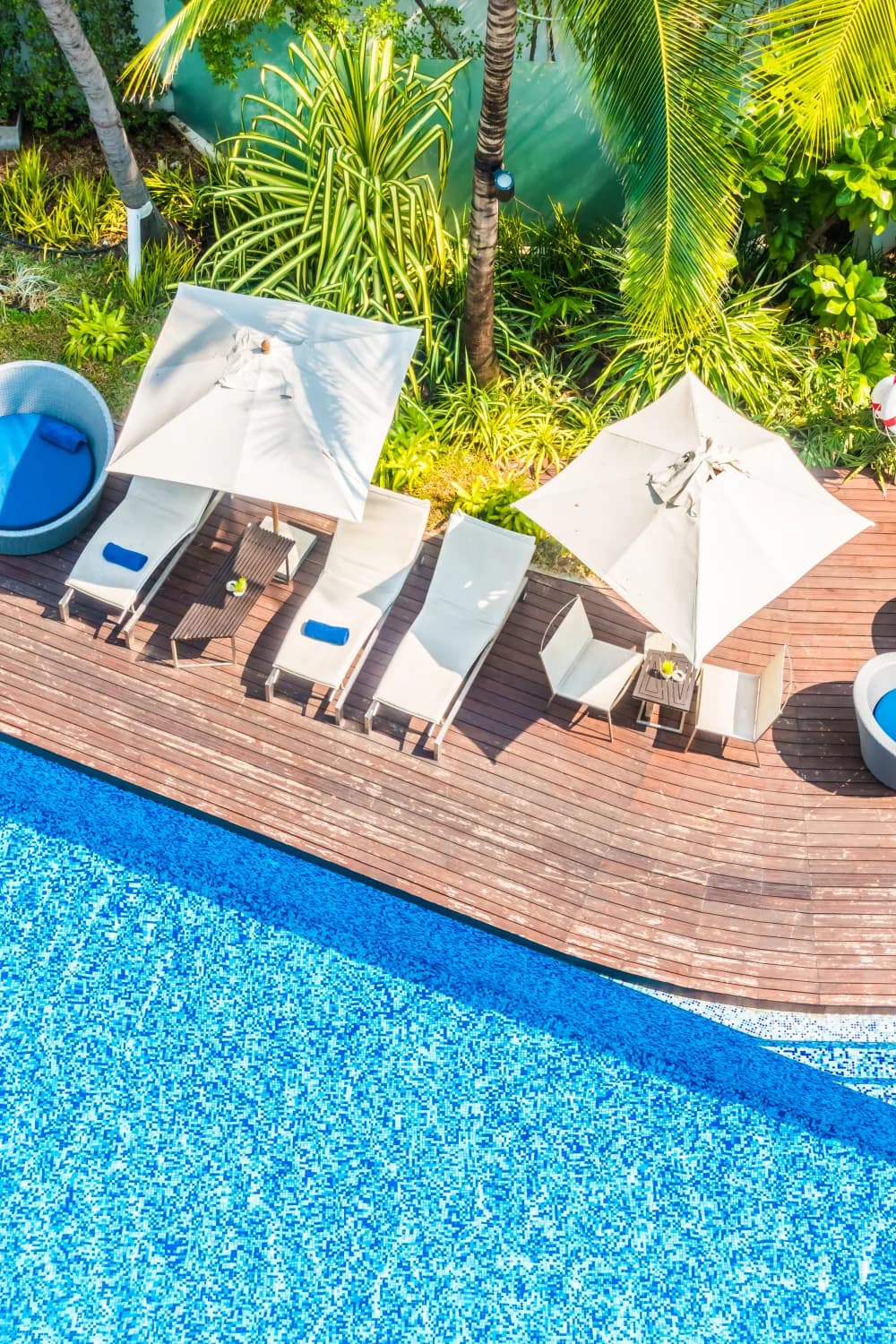 Transats et parasols au bord d'une piscine bordée de bois