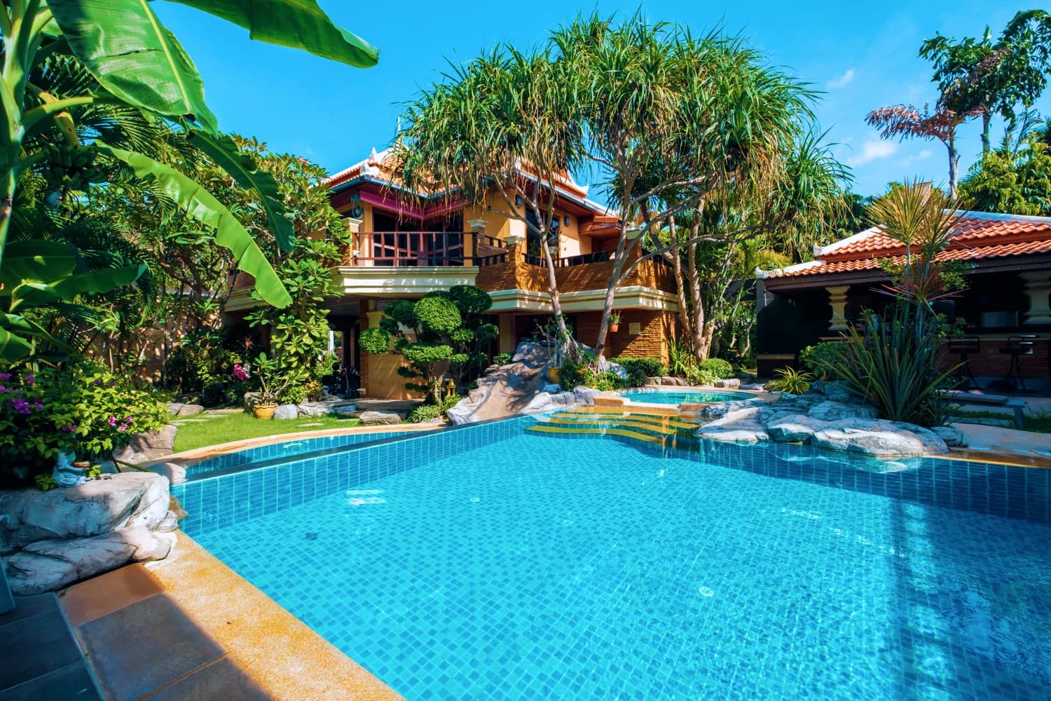 Piscine tropicale entourée d’une végétation dense